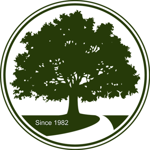 Boca Raton Tree Service Image